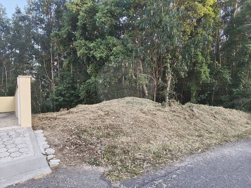 Terreno para Venda em Macieira de Cambra Foto 3