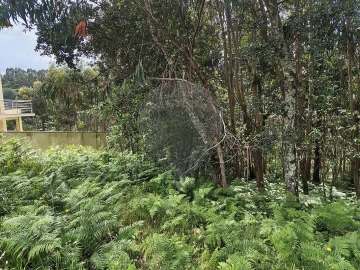 Terreno para Venda em Macieira de Cambra