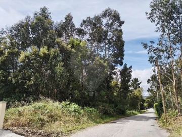 Terreno para Venda em Macieira de Cambra