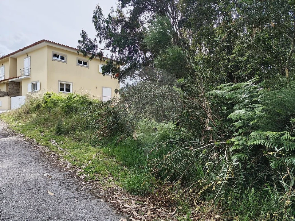 Terreno para Venda em Macieira de Cambra Foto 1