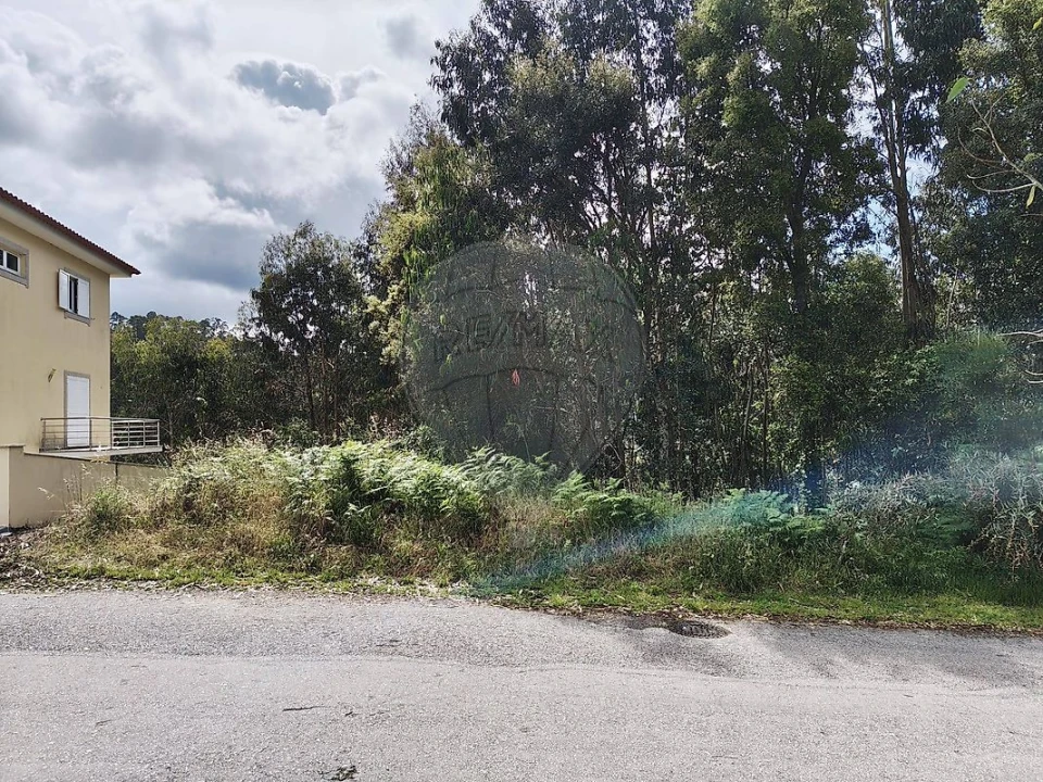 Terreno para Venda em Macieira de Cambra Foto 5