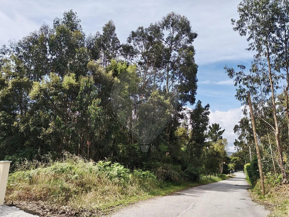 Terreno para Venda em Macieira de Cambra Foto 4