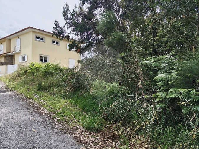 Terreno para Venda em Macieira de Cambra