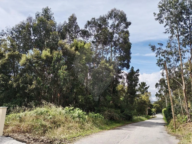 Terreno para Venda em Macieira de Cambra Foto 4