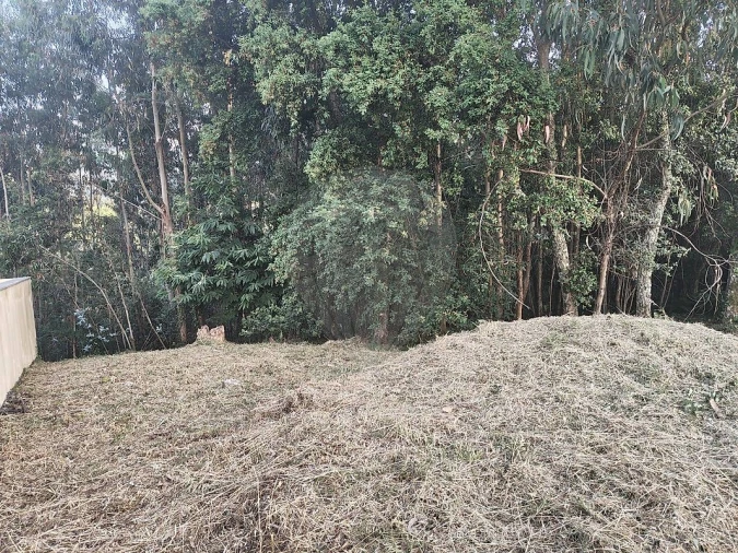 Terreno para Venda em Macieira de Cambra Foto 4
