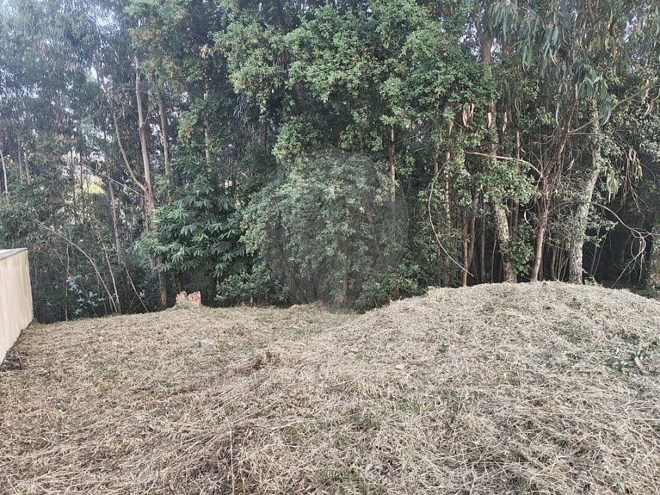 Terreno para Venda em Macieira de Cambra Foto 4