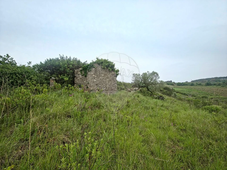 Moradia T2 para Venda em Ribafria e Pereiro de Palhacana Foto 6