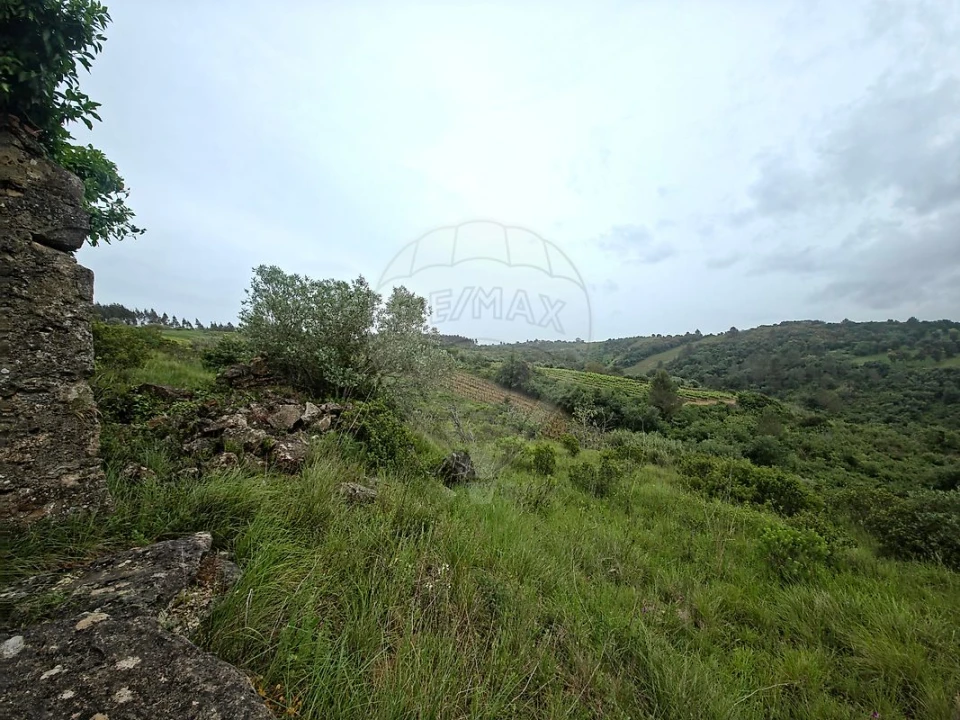 Moradia T2 para Venda em Ribafria e Pereiro de Palhacana Foto 7