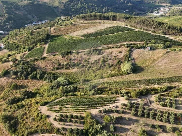 Moradia T2 para Venda em Ribafria e Pereiro de Palhacana