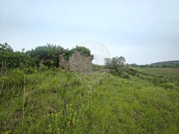 Moradia T2 para Venda em Ribafria e Pereiro de Palhacana