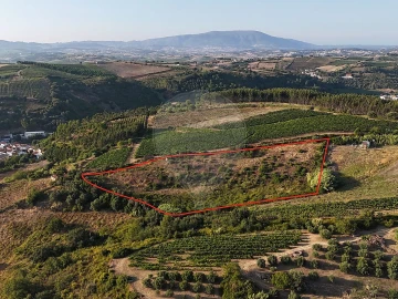 Moradia T2 para Venda em Ribafria e Pereiro de Palhacana