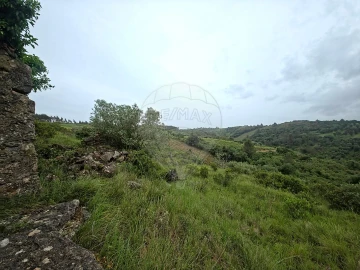 Moradia T2 para Venda em Ribafria e Pereiro de Palhacana
