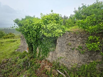 Moradia T2 para Venda em Ribafria e Pereiro de Palhacana