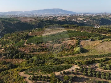 Moradia T2 para Venda em Ribafria e Pereiro de Palhacana