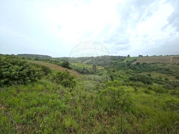 Moradia T2 para Venda em Ribafria e Pereiro de Palhacana
