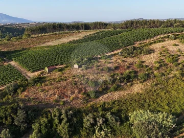 Moradia T2 para Venda em Ribafria e Pereiro de Palhacana