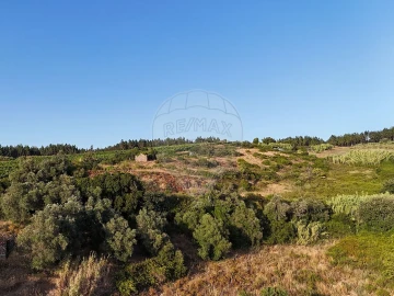 Moradia T2 para Venda em Ribafria e Pereiro de Palhacana