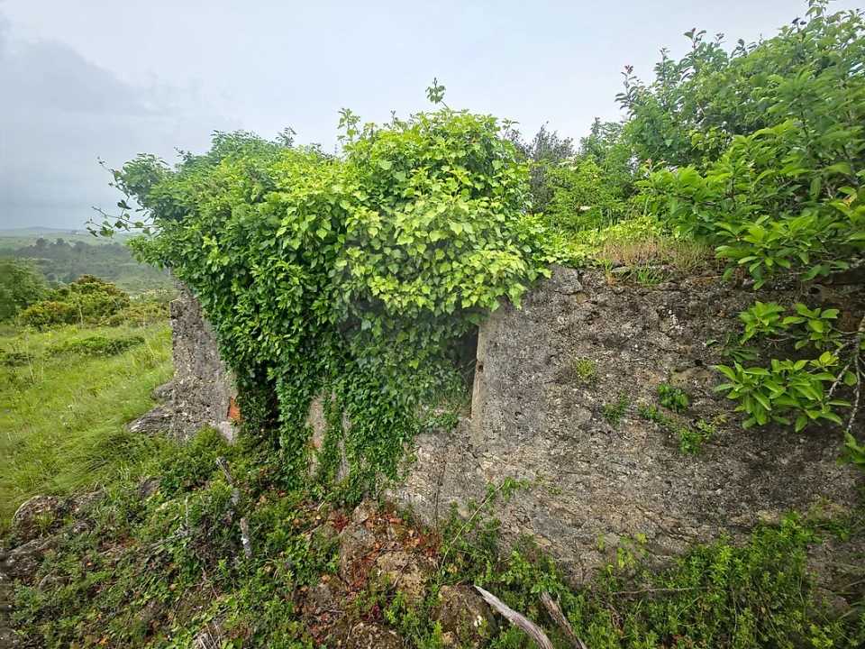 Moradia T2 para Venda em Ribafria e Pereiro de Palhacana Foto 5
