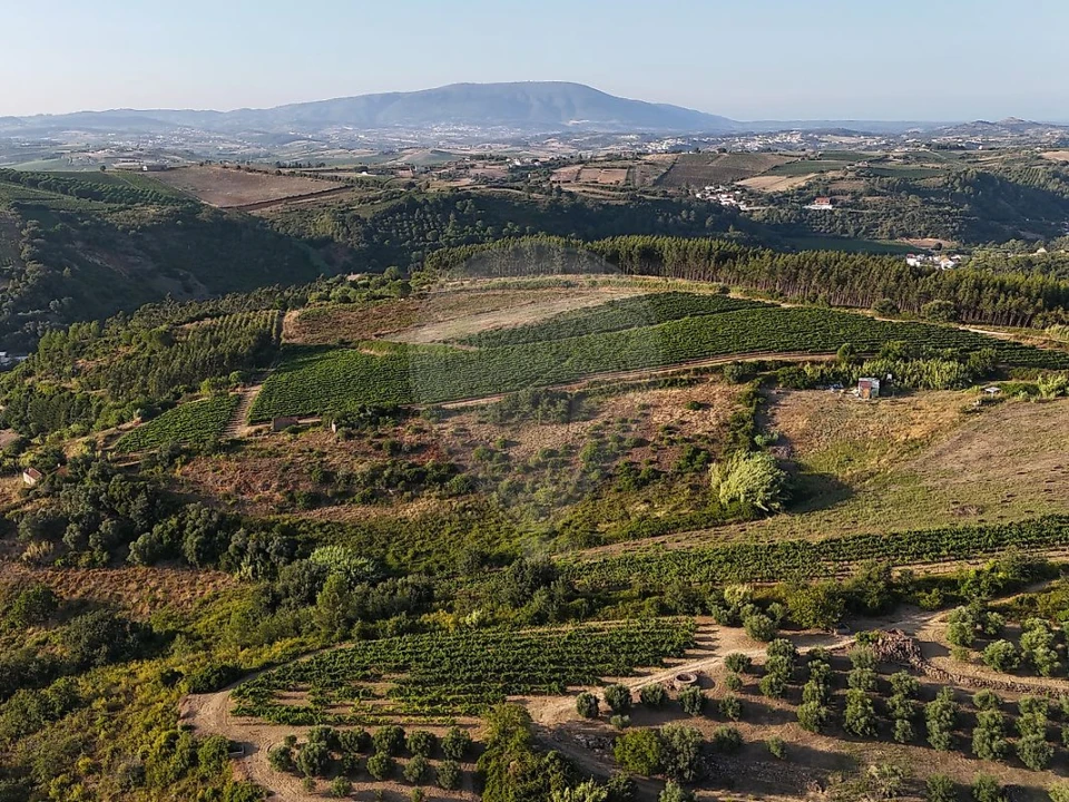 Moradia T2 para Venda em Ribafria e Pereiro de Palhacana Foto 15