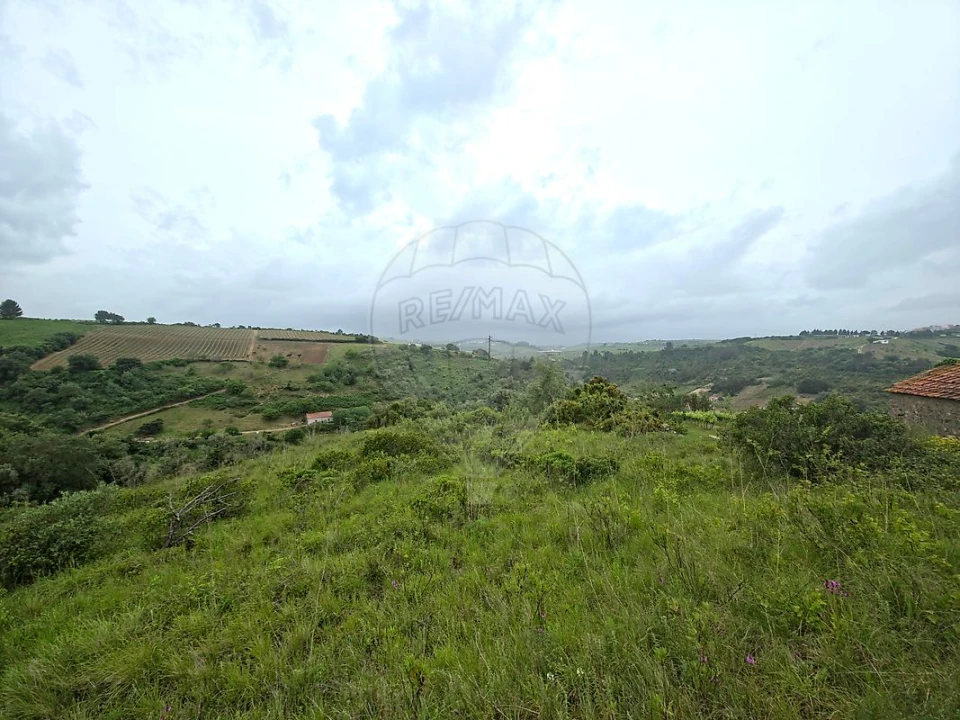 Moradia T2 para Venda em Ribafria e Pereiro de Palhacana Foto 9