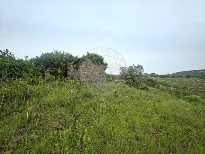 Moradia T2 para Venda em Ribafria e Pereiro de Palhacana Foto 6