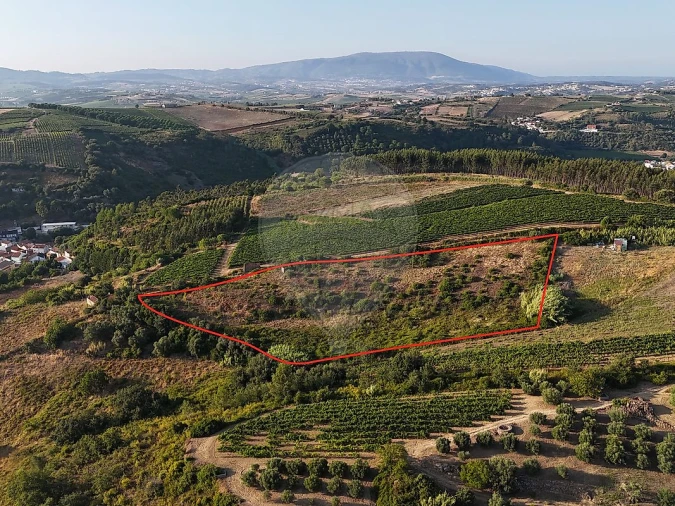 Moradia T2 para Venda em Ribafria e Pereiro de Palhacana Foto 17