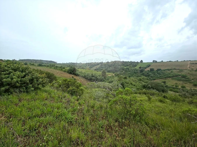 Moradia T2 para Venda em Ribafria e Pereiro de Palhacana Foto 10
