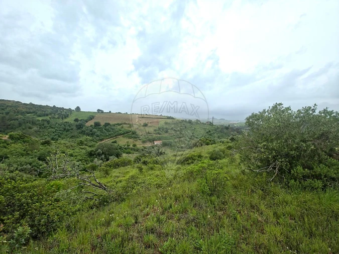 Moradia T2 para Venda em Ribafria e Pereiro de Palhacana Foto 11