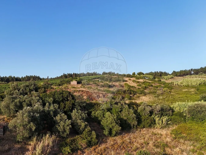 Moradia T2 para Venda em Ribafria e Pereiro de Palhacana Foto 10