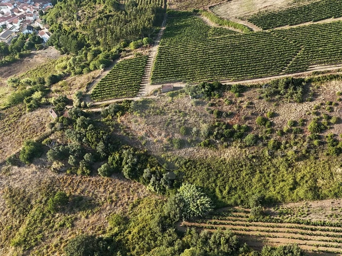 Moradia T2 para Venda em Ribafria e Pereiro de Palhacana Foto 13