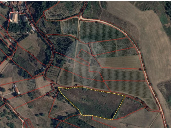 Moradia T2 para Venda em Ribafria e Pereiro de Palhacana Foto 16