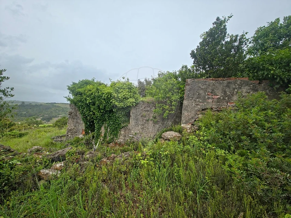 Moradia T2 para Venda em Ribafria e Pereiro de Palhacana Foto 4