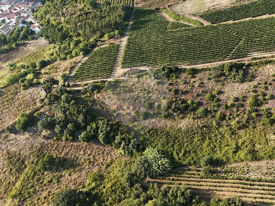 Moradia T2 para Venda em Ribafria e Pereiro de Palhacana Foto 13