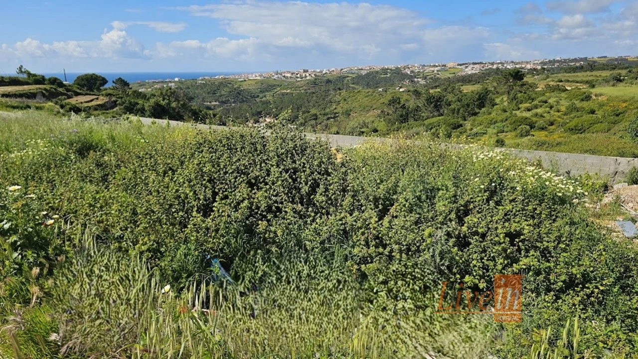 Terreno para Venda em Carvoeira Foto 18