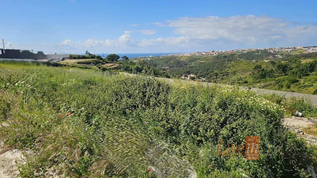 Terreno para Venda em Carvoeira Foto 20