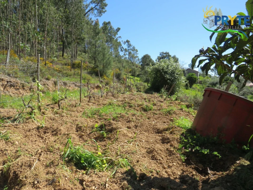 Moradia T4 para Venda em Mação, Penhascoso e Aboboreira Foto 5
