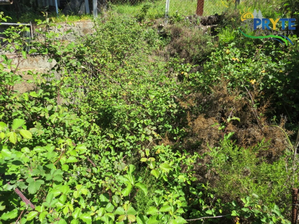 Moradia T4 para Venda em Mação, Penhascoso e Aboboreira Foto 13