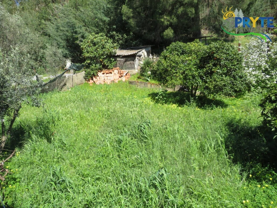 Moradia T4 para Venda em Mação, Penhascoso e Aboboreira Foto 69