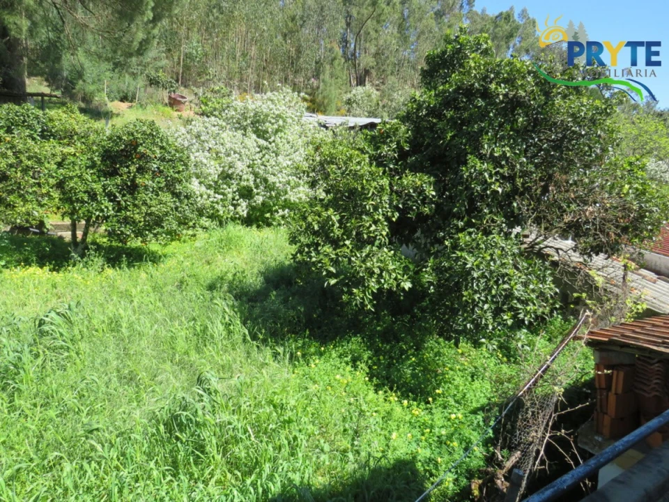 Moradia T4 para Venda em Mação, Penhascoso e Aboboreira Foto 78