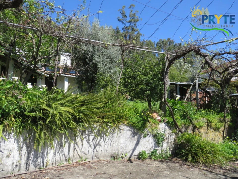 Moradia T4 para Venda em Mação, Penhascoso e Aboboreira Foto 86