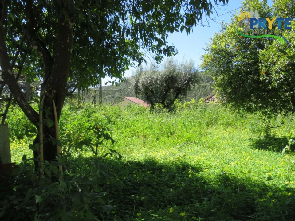 Moradia T4 para Venda em Mação, Penhascoso e Aboboreira Foto 90