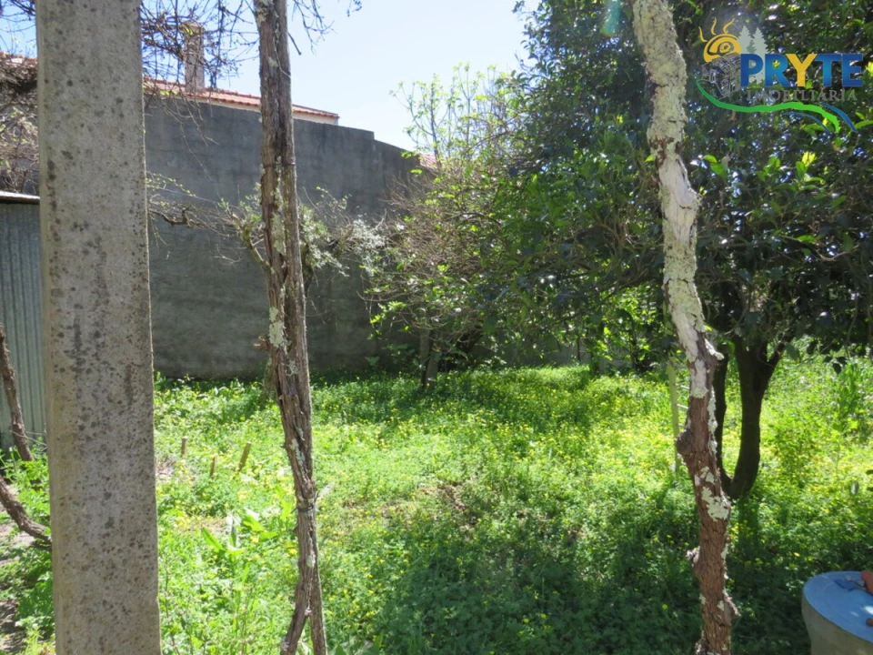 Moradia T4 para Venda em Mação, Penhascoso e Aboboreira Foto 96