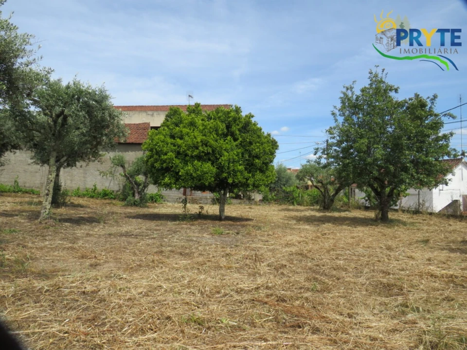 Moradia T4 para Venda em Mação, Penhascoso e Aboboreira Foto 98