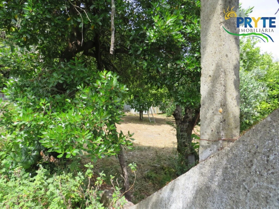 Moradia T4 para Venda em Mação, Penhascoso e Aboboreira Foto 102
