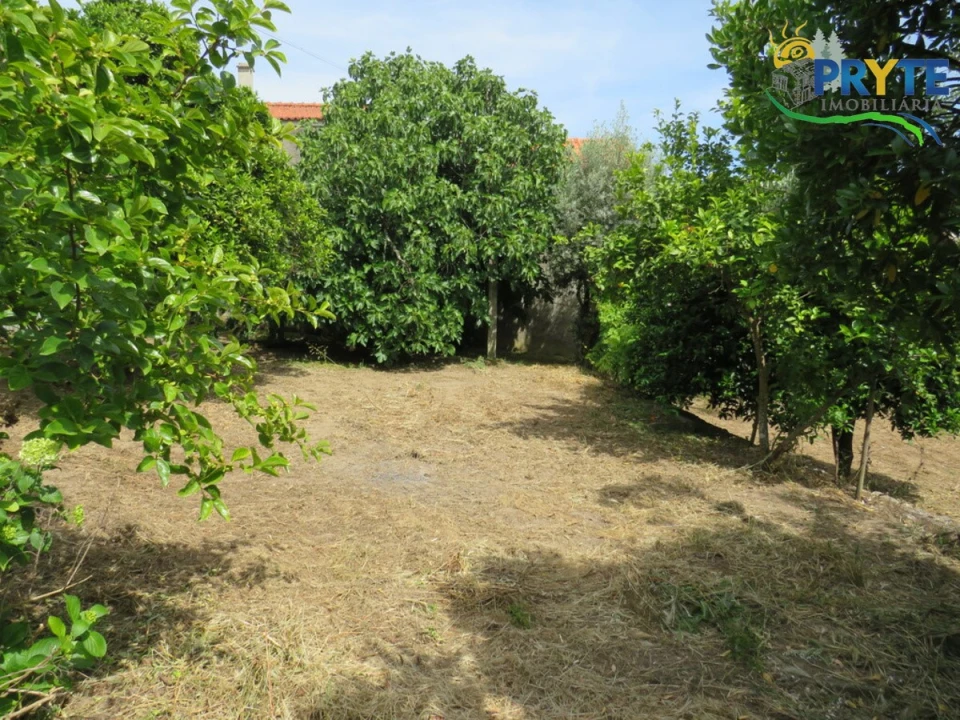 Moradia T4 para Venda em Mação, Penhascoso e Aboboreira Foto 109