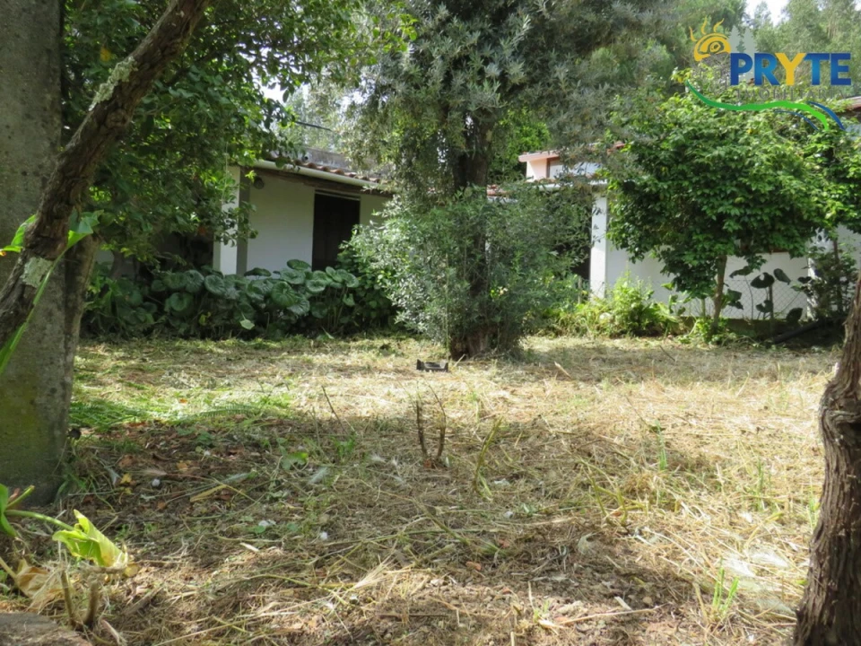 Moradia T4 para Venda em Mação, Penhascoso e Aboboreira Foto 113