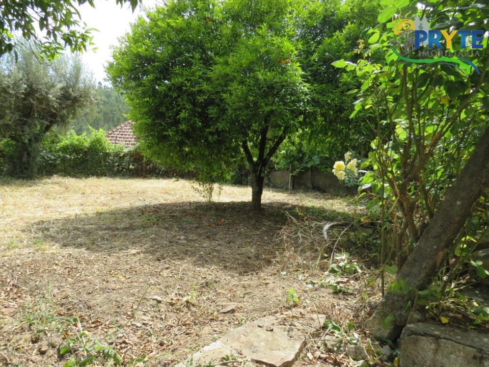 Moradia T4 para Venda em Mação, Penhascoso e Aboboreira Foto 116
