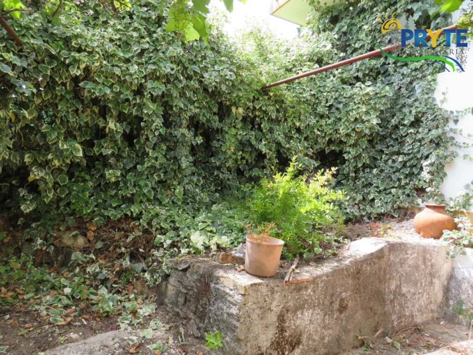 Moradia T4 para Venda em Mação, Penhascoso e Aboboreira Foto 117