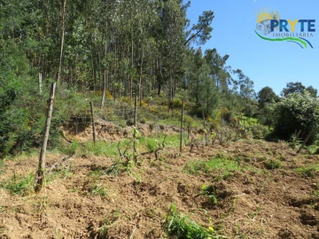 Moradia T4 para Venda em Mação, Penhascoso e Aboboreira