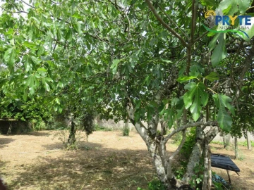 Moradia T4 para Venda em Mação, Penhascoso e Aboboreira